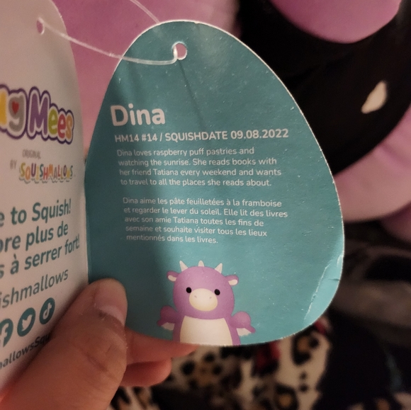 Dina Hug Mes Squishmallow - Picture 3 of 6
